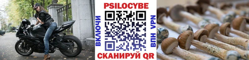 Галлюциногенные грибы Psilocybe  где купить наркотик  Нижняя Салда 
